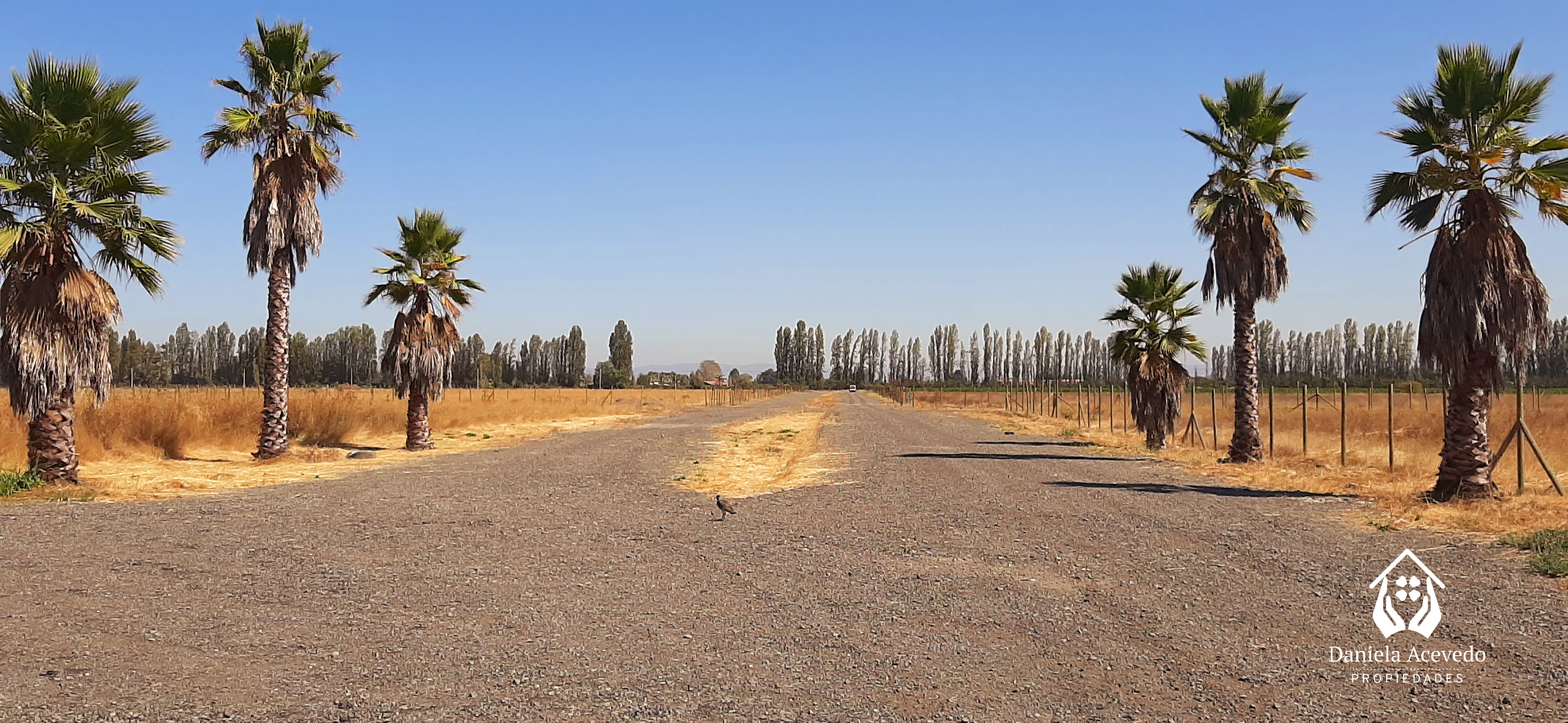 LOTEO FLORIDA DEL ALTO , LOS NICHES 