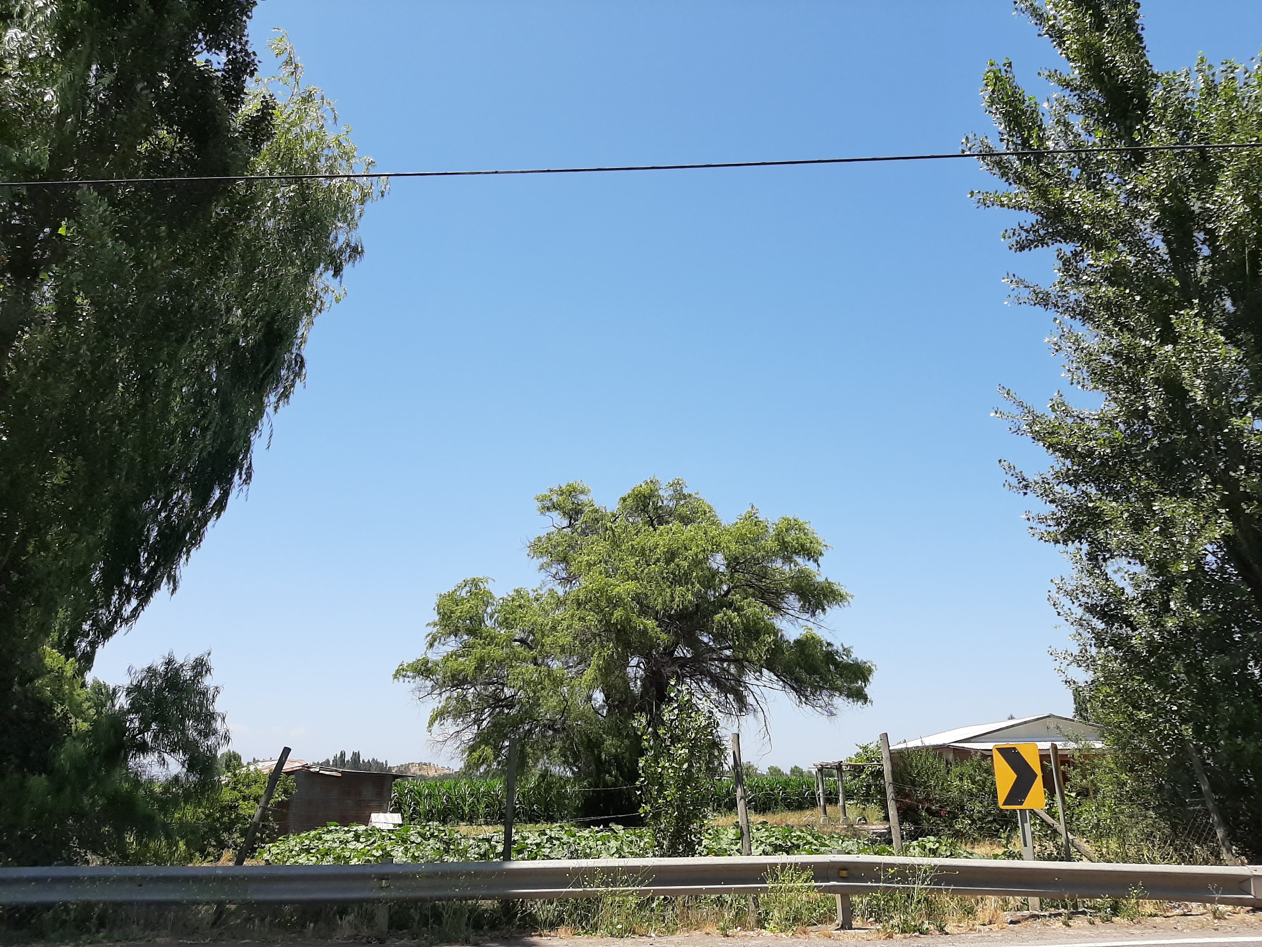 RUTA J60 , KILOMETRO 13.600 QUILPOCO ,RAUCO  